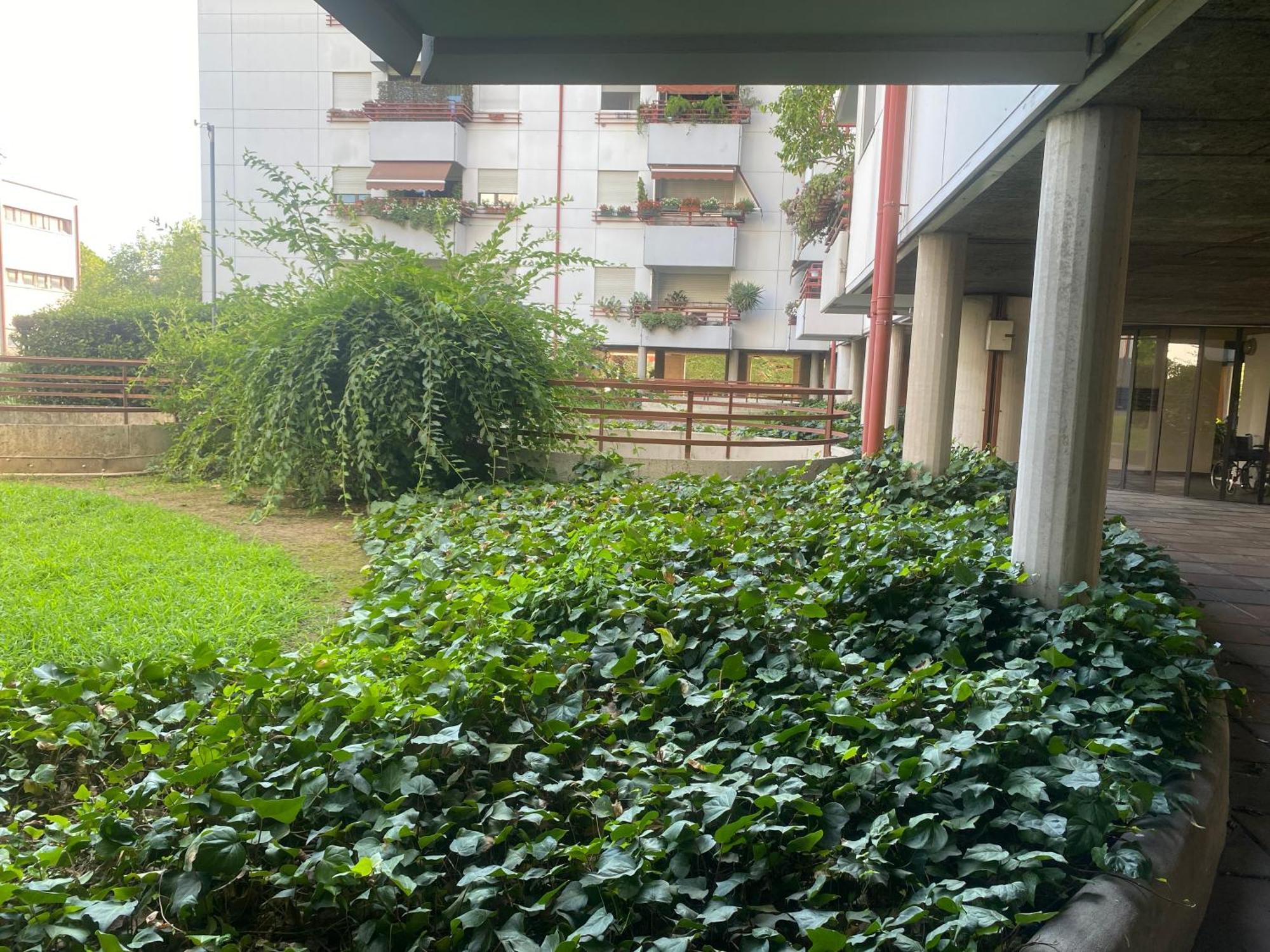 Appartamento La Belle Vue Verona Esterno foto